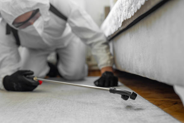 Professional Bed Bug Control technician working in Woodburn, IN