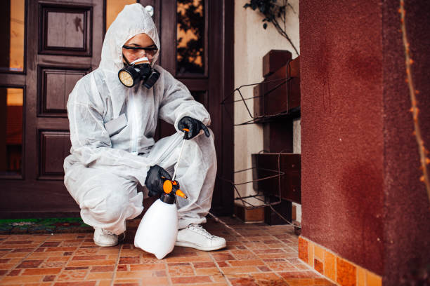 Reliable Bed Bug Control contractor in Woodburn, IN by Nex Pest Control